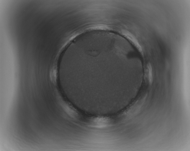 X0000111580063200907161433