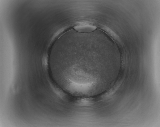 X0000111580064200907161433