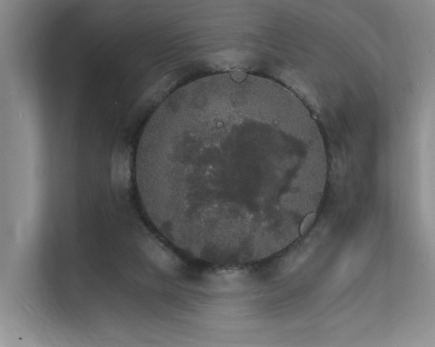 X0000111580065200907161433