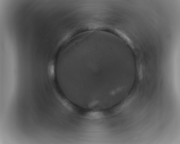 X0000111580067200907161433