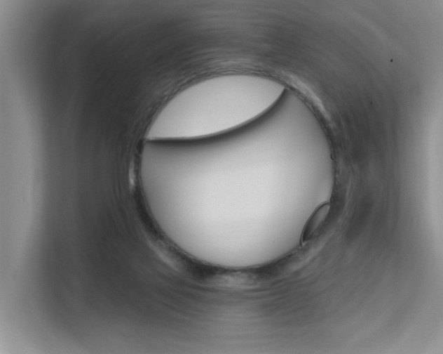 X0000111580069200907161433