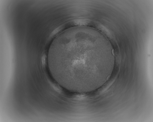 X0000111580071200907161433