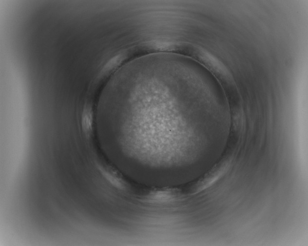X0000111580072200907161433