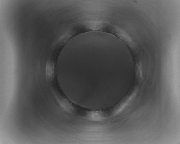 X0000111580073200907161433