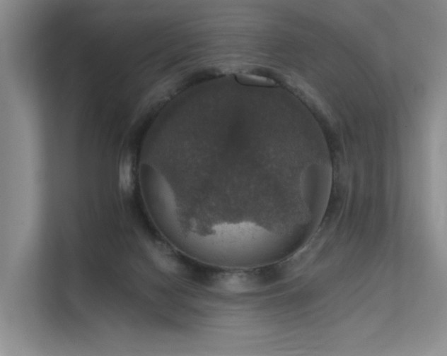 X0000111580074200907161433