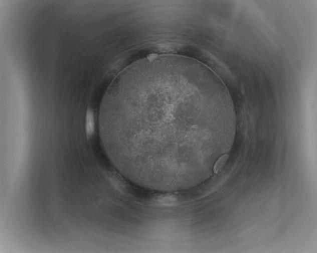 X0000111580075200907161433