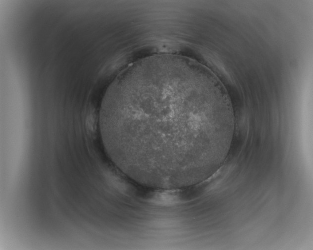 X0000111580078200907161433