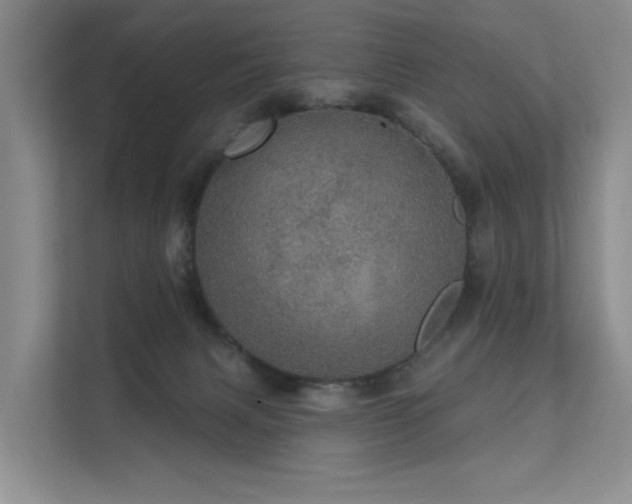 X0000111580079200907161433