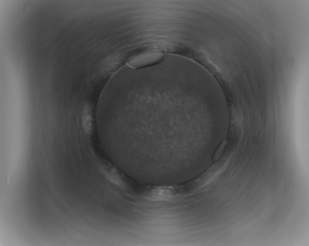 X0000111580080200907161433