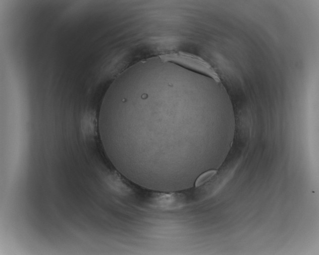 X0000111580083200907161433