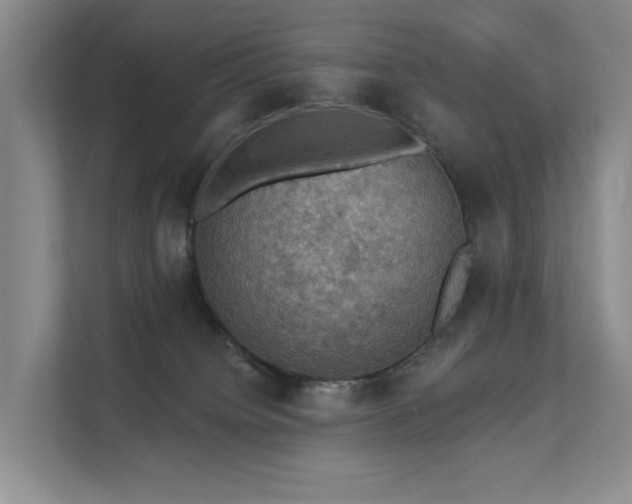 X0000111580084200907161434