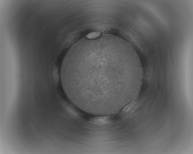 X0000111580086200907161434