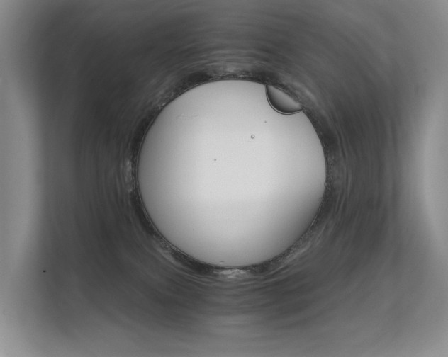 X0000111580087200907161434