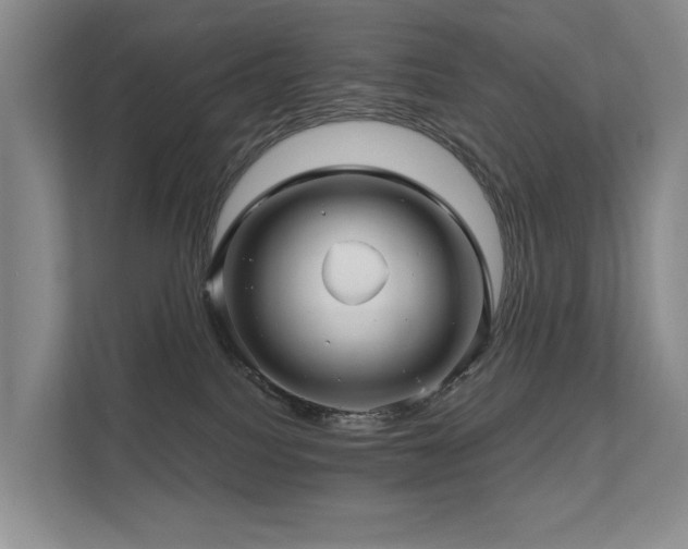 X0000111580088200907161434