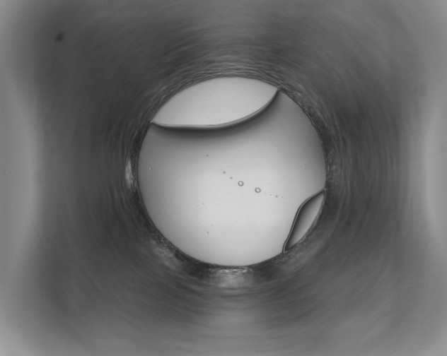 X0000111580089200907161434