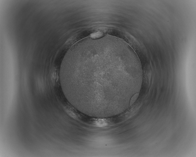 X0000111580091200907161434
