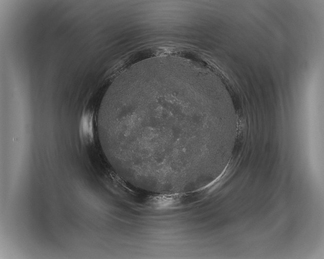 X0000111580094200907161434