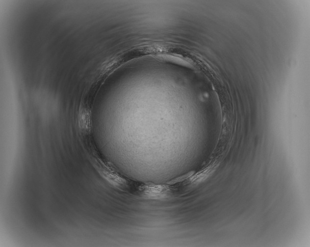 X0000111580096200907161434