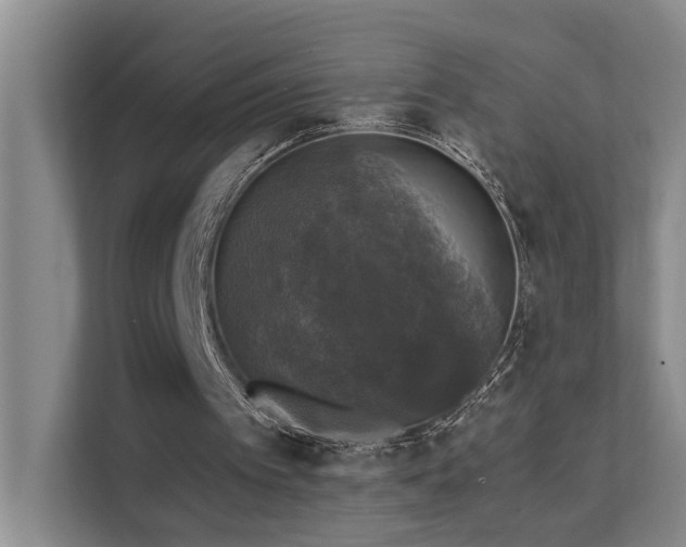 X0000111580097200907161433