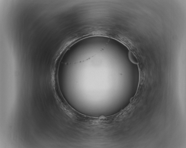 X0000111580098200907161433