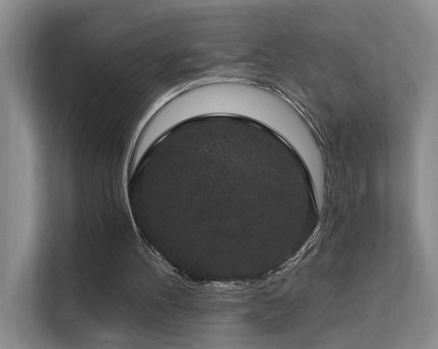 X0000111580100200907161433