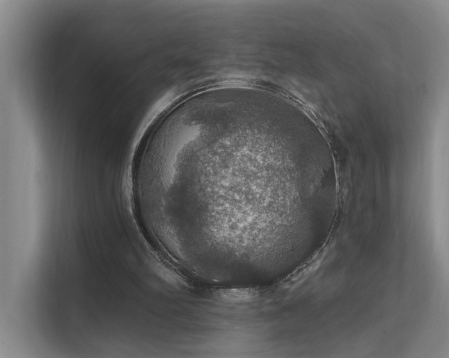 X0000111580102200907161433