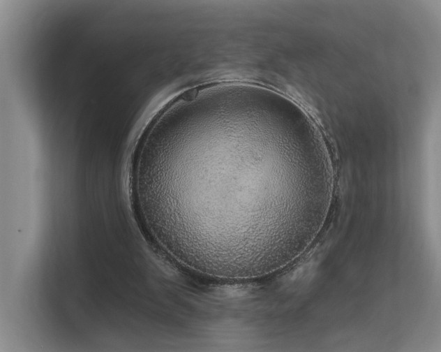 X0000111580103200907161433