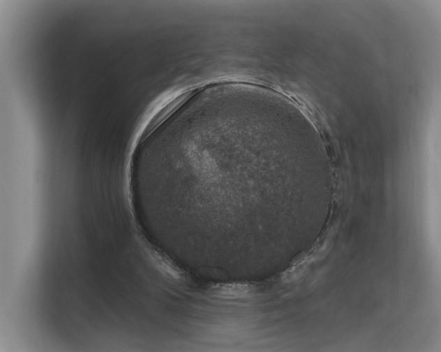 X0000111580104200907161433