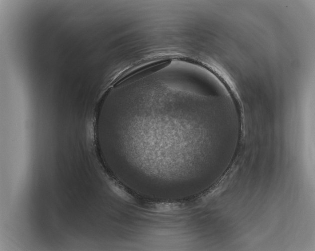 X0000111580105200907161433