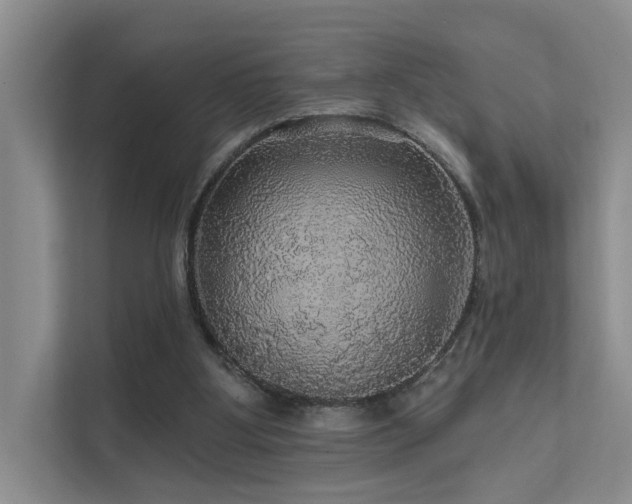 X0000111580107200907161433