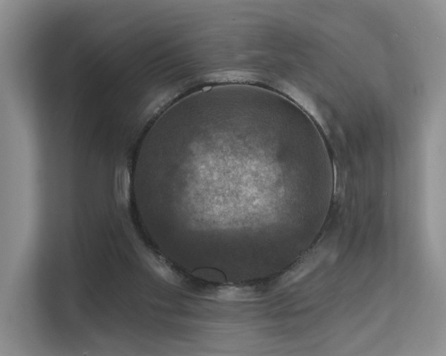 X0000111580109200907161433