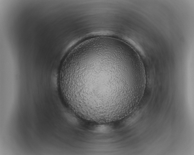 X0000111580111200907161433