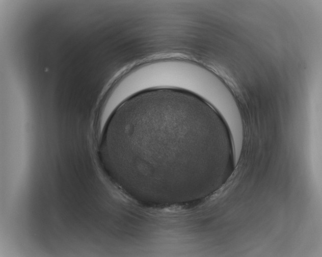 X0000111580112200907161433