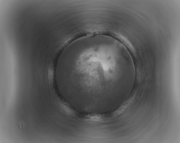 X0000111580113200907161433