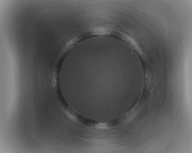 X0000111580114200907161433