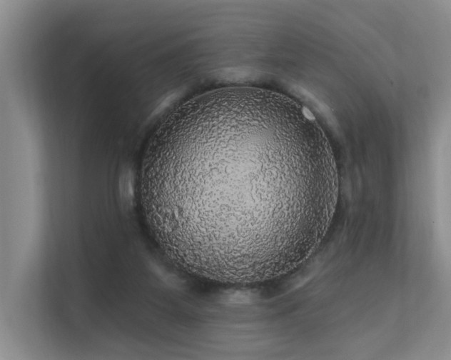 X0000111580115200907161433