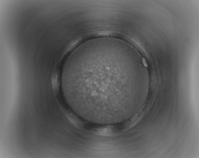 X0000111580116200907161433