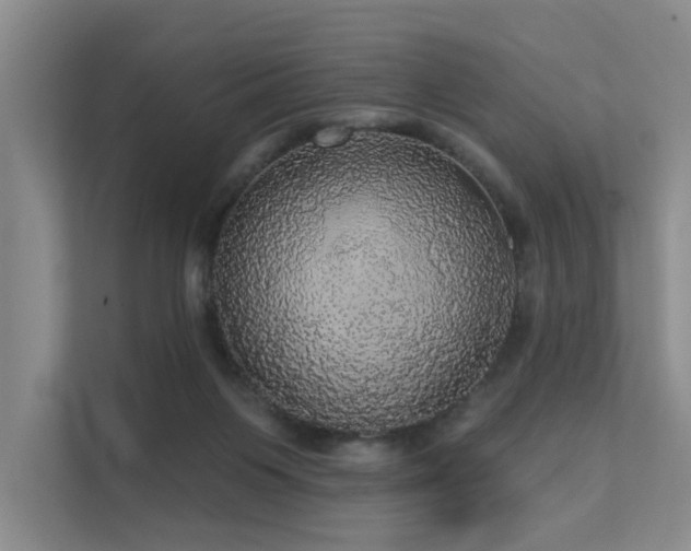 X0000111580119200907161433
