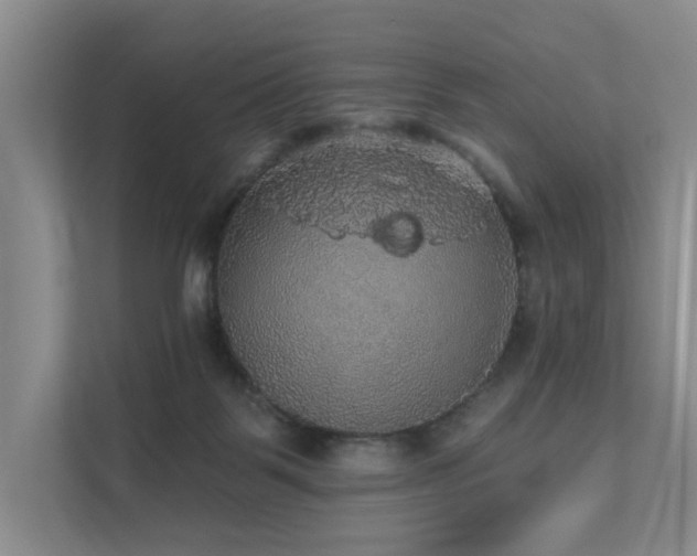 X0000111580123200907161433