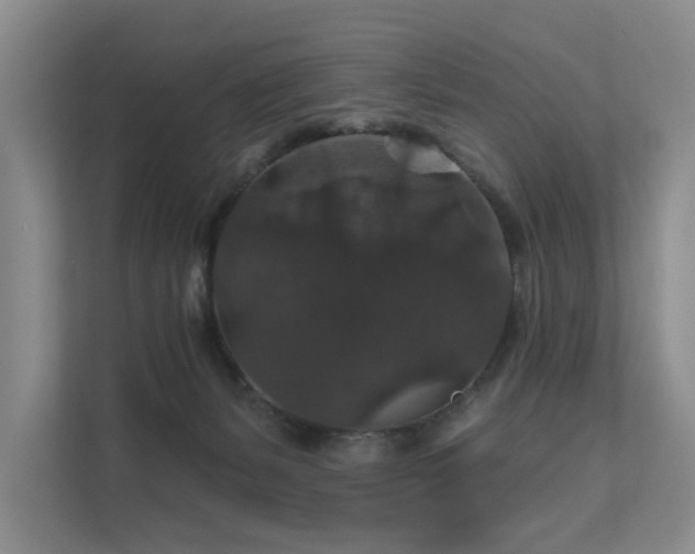 X0000111580127200907161433