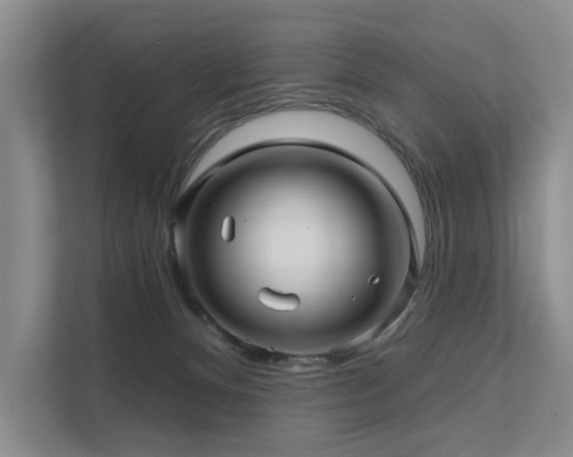 X0000111580128200907161433