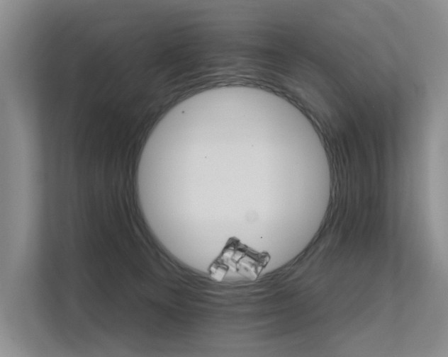 X0000111580129200907161433