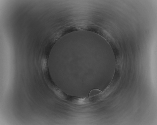 X0000111580130200907161433