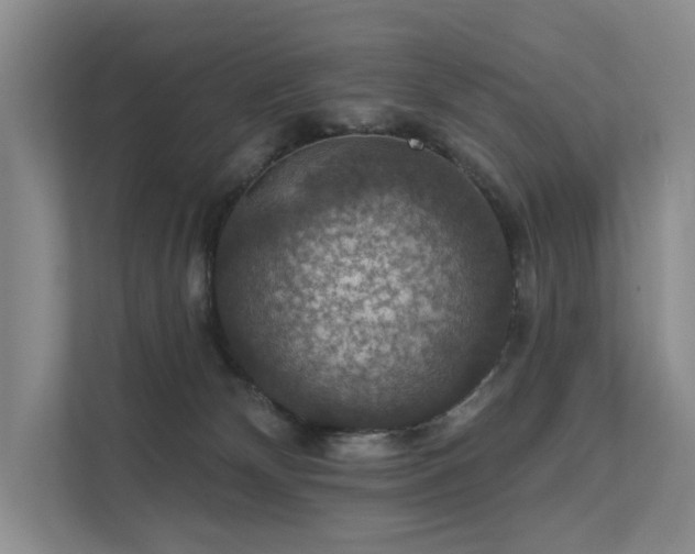 X0000111580132200907161433