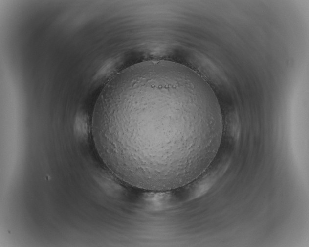 X0000111580135200907161432