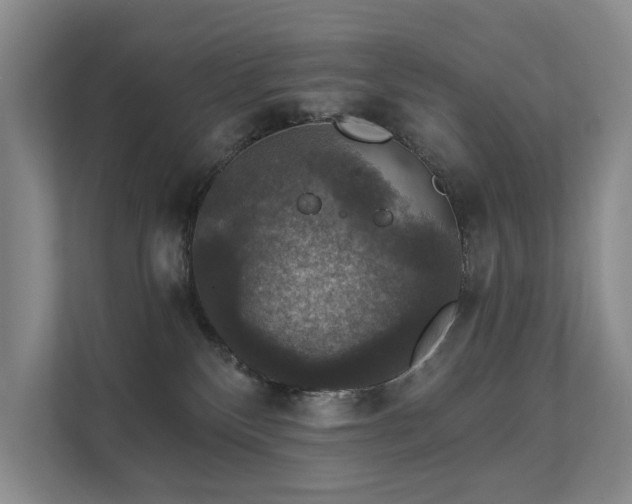 X0000111580136200907161432