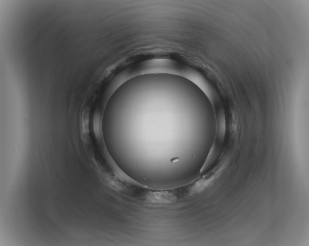 X0000111580137200907161432