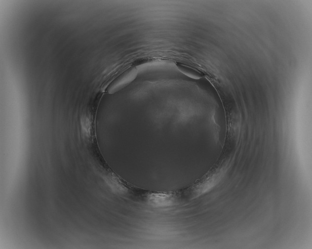 X0000111580139200907161432