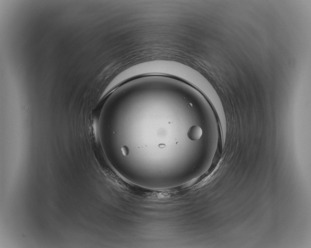 X0000111580140200907161432
