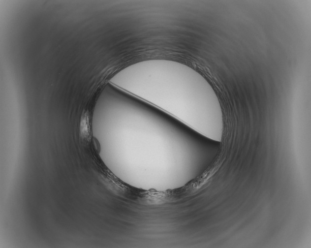 X0000111580143200907161432